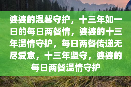 婆婆的温馨守护，十三年如一日的每日两餐情，婆婆的十三年温情守护，每日两餐传递无尽爱意，十三年坚守，婆婆的每日两餐温情守护