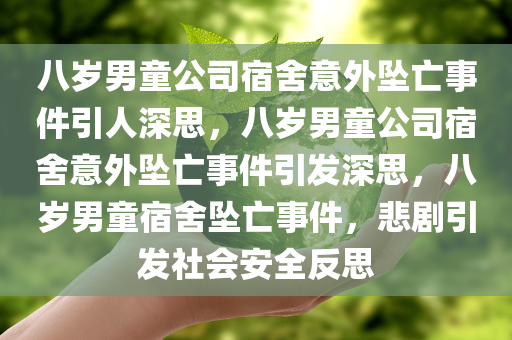 八岁男童公司宿舍意外坠亡事件引人深思，八岁男童公司宿舍意外坠亡事件引发深思，八岁男童宿舍坠亡事件，悲剧引发社会安全反思