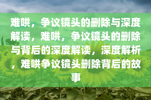 难哄，争议镜头的删除与深度解读，难哄，争议镜头的删除与背后的深度解读，深度解析，难哄争议镜头删除背后的故事