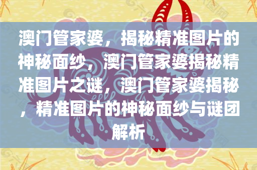 澳门管家婆，揭秘精准图片的神秘面纱，澳门管家婆揭秘精准图片之谜，澳门管家婆揭秘，精准图片的神秘面纱与谜团解析