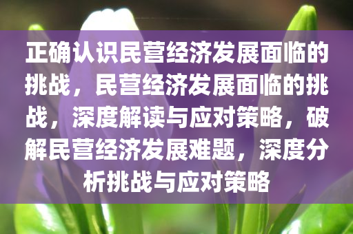 正确认识民营经济发展面临的挑战，民营经济发展面临的挑战，深度解读与应对策略，破解民营经济发展难题，深度分析挑战与应对策略