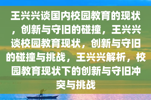 王兴兴谈国内校园教育的现状，创新与守旧的碰撞，王兴兴谈校园教育现状，创新与守旧的碰撞与挑战，王兴兴解析，校园教育现状下的创新与守旧冲突与挑战