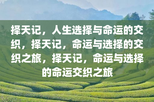 择天记，人生选择与命运的交织，择天记，命运与选择的交织之旅，择天记，命运与选择的命运交织之旅