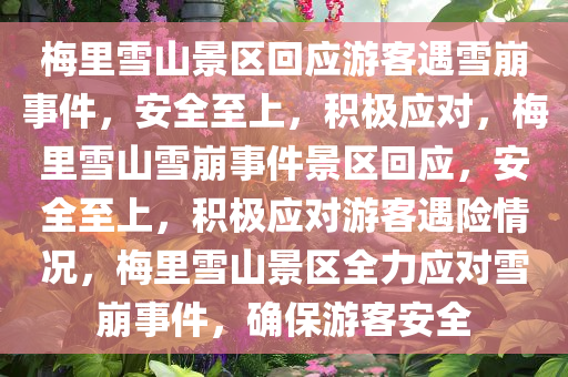 梅里雪山景区回应游客遇雪崩事件，安全至上，积极应对，梅里雪山雪崩事件景区回应，安全至上，积极应对游客遇险情况，梅里雪山景区全力应对雪崩事件，确保游客安全