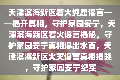 天津滨海新区着火纯属谣言——揭开真相，守护家园安宁，天津滨海新区着火谣言揭秘，守护家园安宁真相浮出水面，天津滨海新区火灾谣言真相揭晓，守护家园安宁纪实