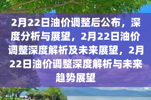 2月22日油价调整后公布，深度分析与展望，2月22日油价调整深度解析及未来展望，2月22日油价调整深度解析与未来趋势展望