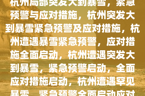 杭州局部突发大到暴雪，紧急预警与应对措施，杭州突发大到暴雪紧急预警及应对措施，杭州遭遇暴雪紧急预警，应对措施全面启动，杭州遭遇突发大到暴雪，紧急预警启动，全面应对措施启动，杭州遭遇罕见暴雪，紧急预警全面启动应对