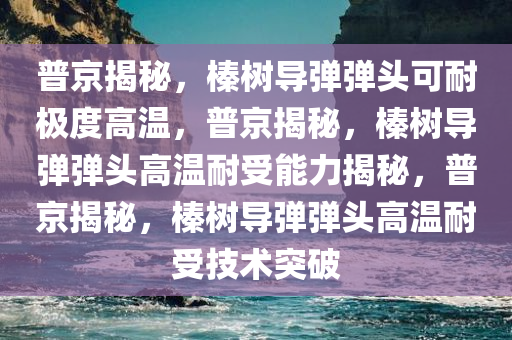 普京揭秘，榛树导弹弹头可耐极度高温，普京揭秘，榛树导弹弹头高温耐受能力揭秘，普京揭秘，榛树导弹弹头高温耐受技术突破