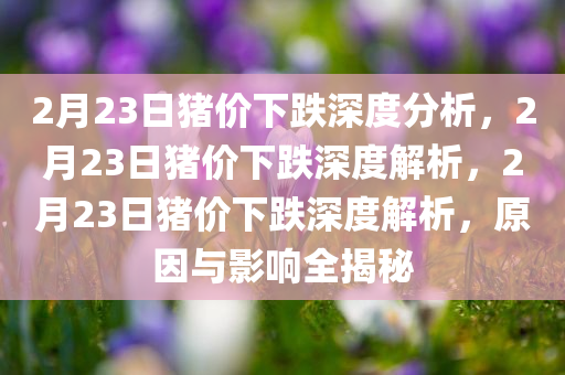 2月23日猪价下跌深度分析，2月23日猪价下跌深度解析，2月23日猪价下跌深度解析，原因与影响全揭秘