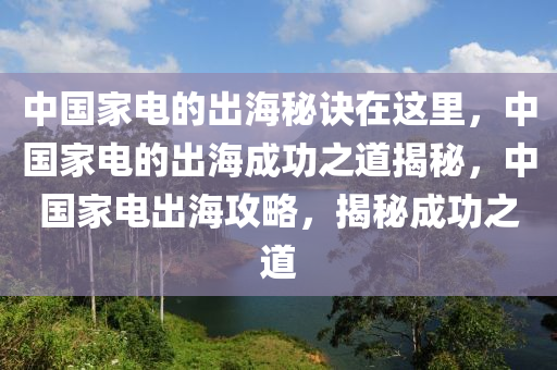 中国家电的出海秘诀在这里，中国家电的出海成功之道揭秘，中国家电出海攻略，揭秘成功之道