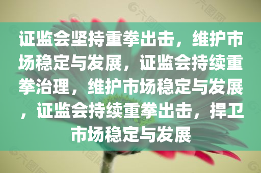 证监会坚持重拳出击，维护市场稳定与发展，证监会持续重拳治理，维护市场稳定与发展，证监会持续重拳出击，捍卫市场稳定与发展