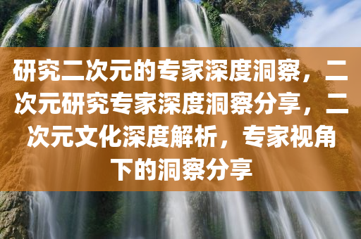 研究二次元的专家深度洞察，二次元研究专家深度洞察分享，二次元文化深度解析，专家视角下的洞察分享