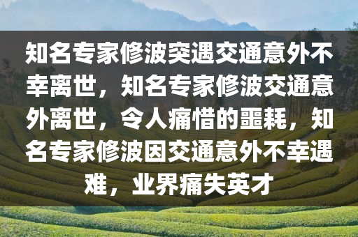 知名专家修波突遇交通意外不幸离世，知名专家修波交通意外离世，令人痛惜的噩耗，知名专家修波因交通意外不幸遇难，业界痛失英才