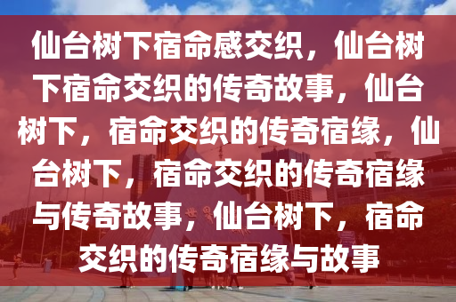 仙台树下宿命感交织，仙台树下宿命交织的传奇故事，仙台树下，宿命交织的传奇宿缘，仙台树下，宿命交织的传奇宿缘与传奇故事，仙台树下，宿命交织的传奇宿缘与故事