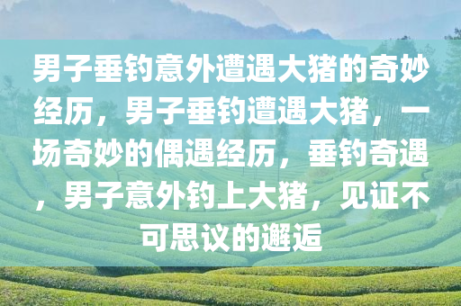 linxinyi 第10页