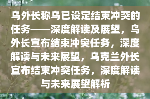 乌外长称乌已设定结束冲突的任务——深度解读及展望，乌外长宣布结束冲突任务，深度解读与未来展望，乌克兰外长宣布结束冲突任务，深度解读与未来展望解析