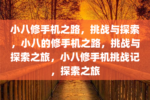 小八修手机之路，挑战与探索，小八的修手机之路，挑战与探索之旅，小八修手机挑战记，探索之旅