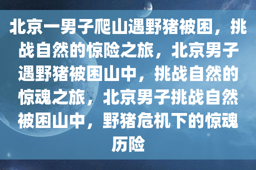 北京一男子爬山遇野猪被困，挑战自然的惊险之旅，北京男子遇野猪被困山中，挑战自然的惊魂之旅，北京男子挑战自然被困山中，野猪危机下的惊魂历险
