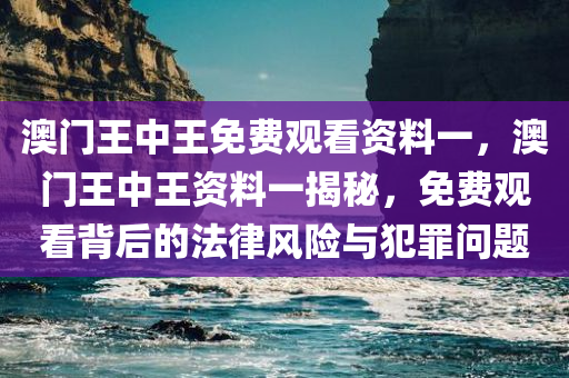 澳门王中王免费观看资料一，澳门王中王资料一揭秘，免费观看背后的法律风险与犯罪问题