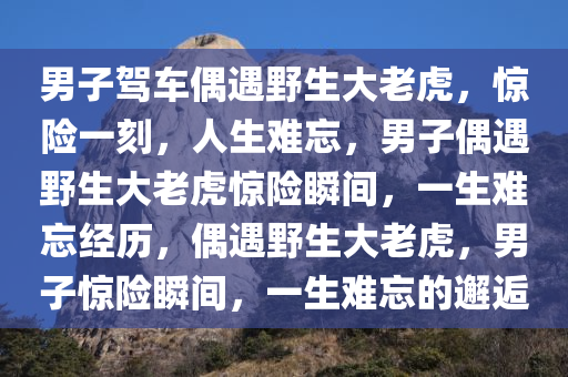 男子驾车偶遇野生大老虎，惊险一刻，人生难忘，男子偶遇野生大老虎惊险瞬间，一生难忘经历，偶遇野生大老虎，男子惊险瞬间，一生难忘的邂逅