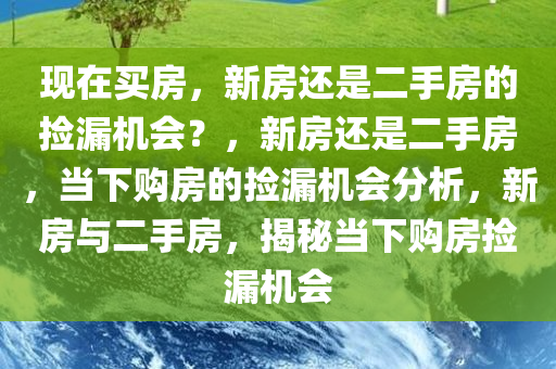 现在买房，新房还是二手房的捡漏机会？，新房还是二手房，当下购房的捡漏机会分析，新房与二手房，揭秘当下购房捡漏机会