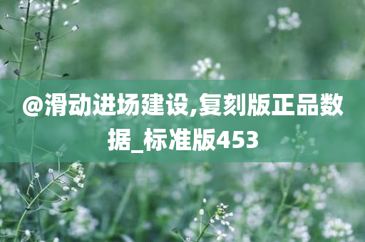 @滑动进场建设,复刻版正品数据_标准版453
