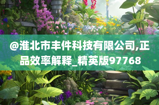 @淮北市丰件科技有限公司,正品效率解释_精英版97768