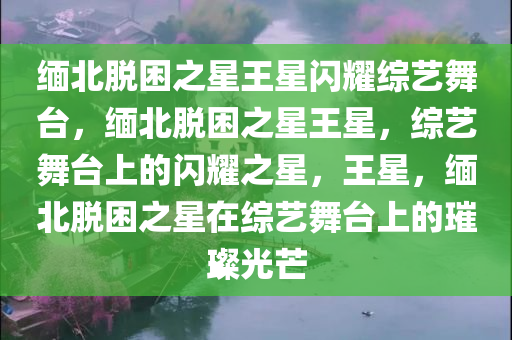 缅北脱困之星王星闪耀综艺舞台，缅北脱困之星王星，综艺舞台上的闪耀之星，王星，缅北脱困之星在综艺舞台上的璀璨光芒