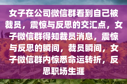 女子在公司微信群看到自己被裁员，震惊与反思的交汇点，女子微信群得知裁员消息，震惊与反思的瞬间，裁员瞬间，女子微信群内惊悉命运转折，反思职场生涯