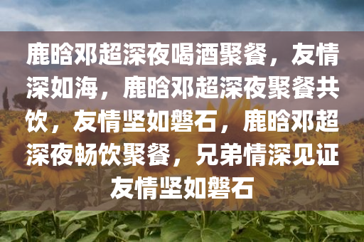 鹿晗邓超深夜喝酒聚餐，友情深如海，鹿晗邓超深夜聚餐共饮，友情坚如磐石，鹿晗邓超深夜畅饮聚餐，兄弟情深见证友情坚如磐石