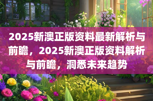 2025新澳正版资料最新解析与前瞻，2025新澳正版资料解析与前瞻，洞悉未来趋势