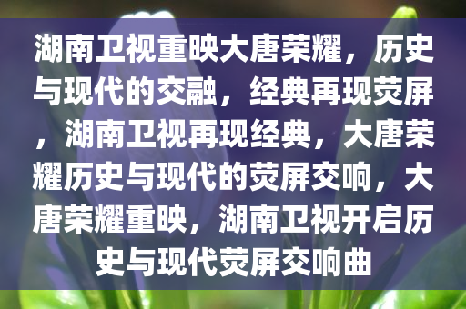 湖南卫视重映大唐荣耀，历史与现代的交融，经典再现荧屏，湖南卫视再现经典，大唐荣耀历史与现代的荧屏交响，大唐荣耀重映，湖南卫视开启历史与现代荧屏交响曲