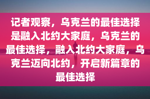 记者观察，乌克兰的最佳选择是融入北约大家庭，乌克兰的最佳选择，融入北约大家庭，乌克兰迈向北约，开启新篇章的最佳选择