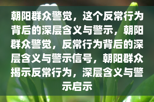朝阳群众警觉，这个反常行为背后的深层含义与警示，朝阳群众警觉，反常行为背后的深层含义与警示信号，朝阳群众揭示反常行为，深层含义与警示启示