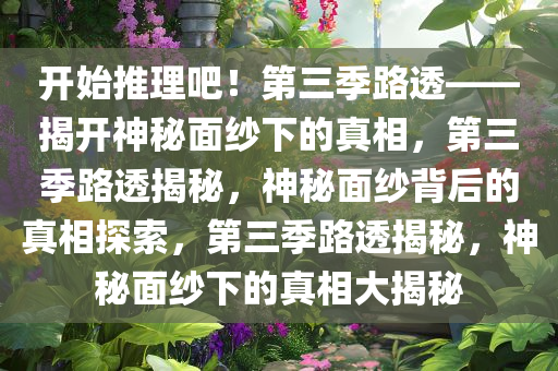 开始推理吧！第三季路透——揭开神秘面纱下的真相，第三季路透揭秘，神秘面纱背后的真相探索，第三季路透揭秘，神秘面纱下的真相大揭秘