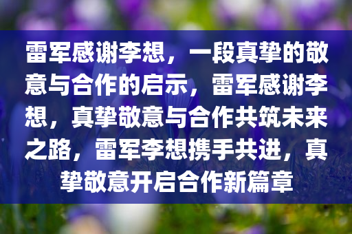 雷军感谢李想，一段真挚的敬意与合作的启示，雷军感谢李想，真挚敬意与合作共筑未来之路，雷军李想携手共进，真挚敬意开启合作新篇章