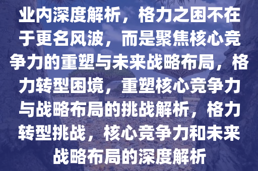 业内深度解析，格力之困不在于更名风波，而是聚焦核心竞争力的重塑与未来战略布局，格力转型困境，重塑核心竞争力与战略布局的挑战解析，格力转型挑战，核心竞争力和未来战略布局的深度解析