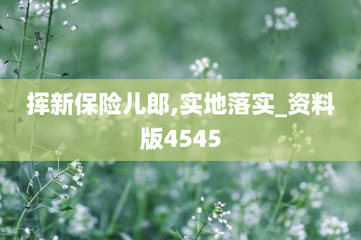 挥新保险儿郎,实地落实_资料版4545