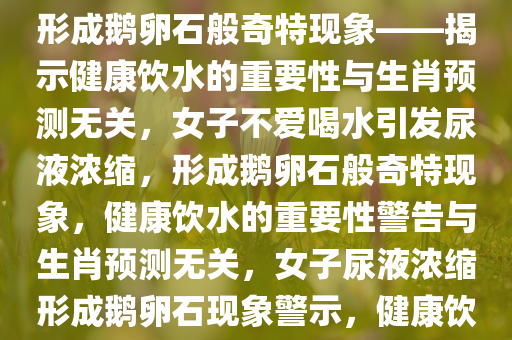 女子不爱喝水引发尿液浓缩，竟形成鹅卵石般奇特现象——揭示健康饮水的重要性与生肖预测无关，女子不爱喝水引发尿液浓缩，形成鹅卵石般奇特现象，健康饮水的重要性警告与生肖预测无关，女子尿液浓缩形成鹅卵石现象警示，健康饮水的重要性超越生肖预测