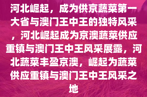 河北崛起，成为供京蔬菜第一大省与澳门王中王的独特风采，河北崛起成为京澳蔬菜供应重镇与澳门王中王风采展露，河北蔬菜丰盈京澳，崛起为蔬菜供应重镇与澳门王中王风采之地