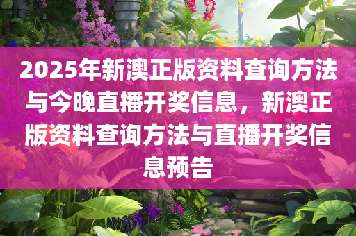 2025年新澳正版资料查询方法与今晚直播开奖信息，新澳正版资料查询方法与直播开奖信息预告