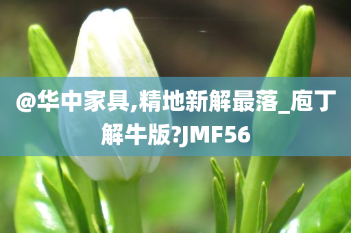@华中家具,精地新解最落_庖丁解牛版?JMF56