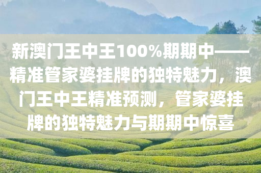 新澳门王中王100%期期中——精准管家婆挂牌的独特魅力，澳门王中王精准预测，管家婆挂牌的独特魅力与期期中惊喜