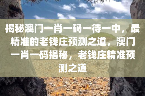 揭秘澳门一肖一码一待一中，最精准的老钱庄预测之道，澳门一肖一码揭秘，老钱庄精准预测之道