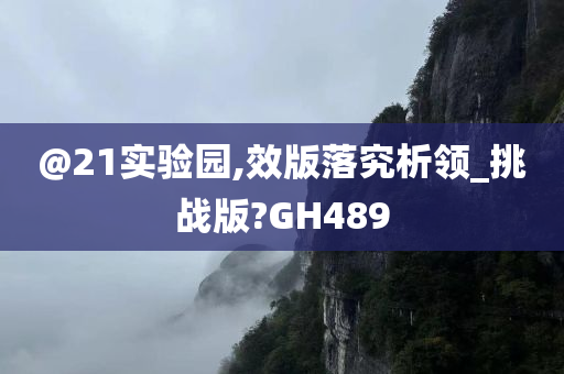 @21实验园,效版落究析领_挑战版?GH489