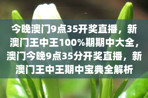 今晚澳门9点35开奖直播，新澳门王中王100%期期中大全，澳门今晚9点35分开奖直播，新澳门王中王期中宝典全解析