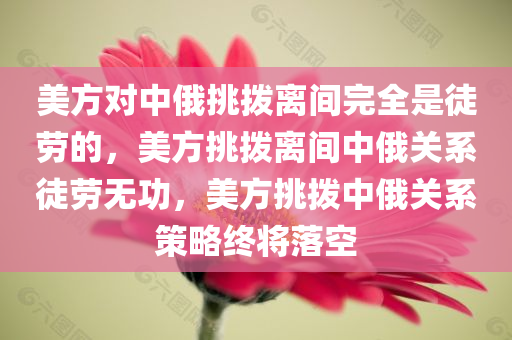 yangxinhong 第8页
