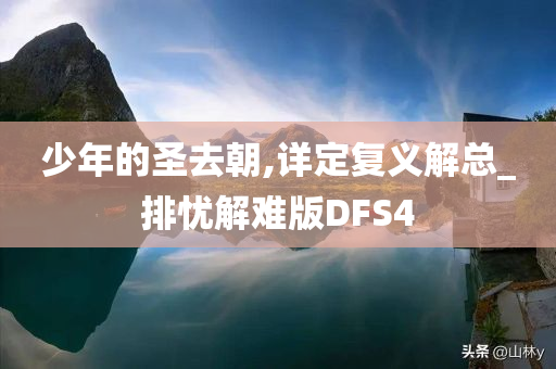少年的圣去朝,详定复义解总_排忧解难版DFS4