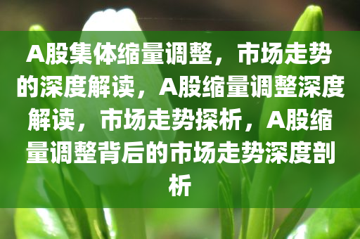 A股集体缩量调整，市场走势的深度解读，A股缩量调整深度解读，市场走势探析，A股缩量调整背后的市场走势深度剖析