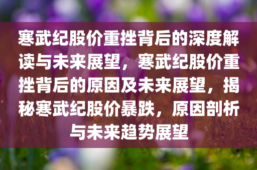 寒武纪股价重挫背后的深度解读与未来展望，寒武纪股价重挫背后的原因及未来展望，揭秘寒武纪股价暴跌，原因剖析与未来趋势展望